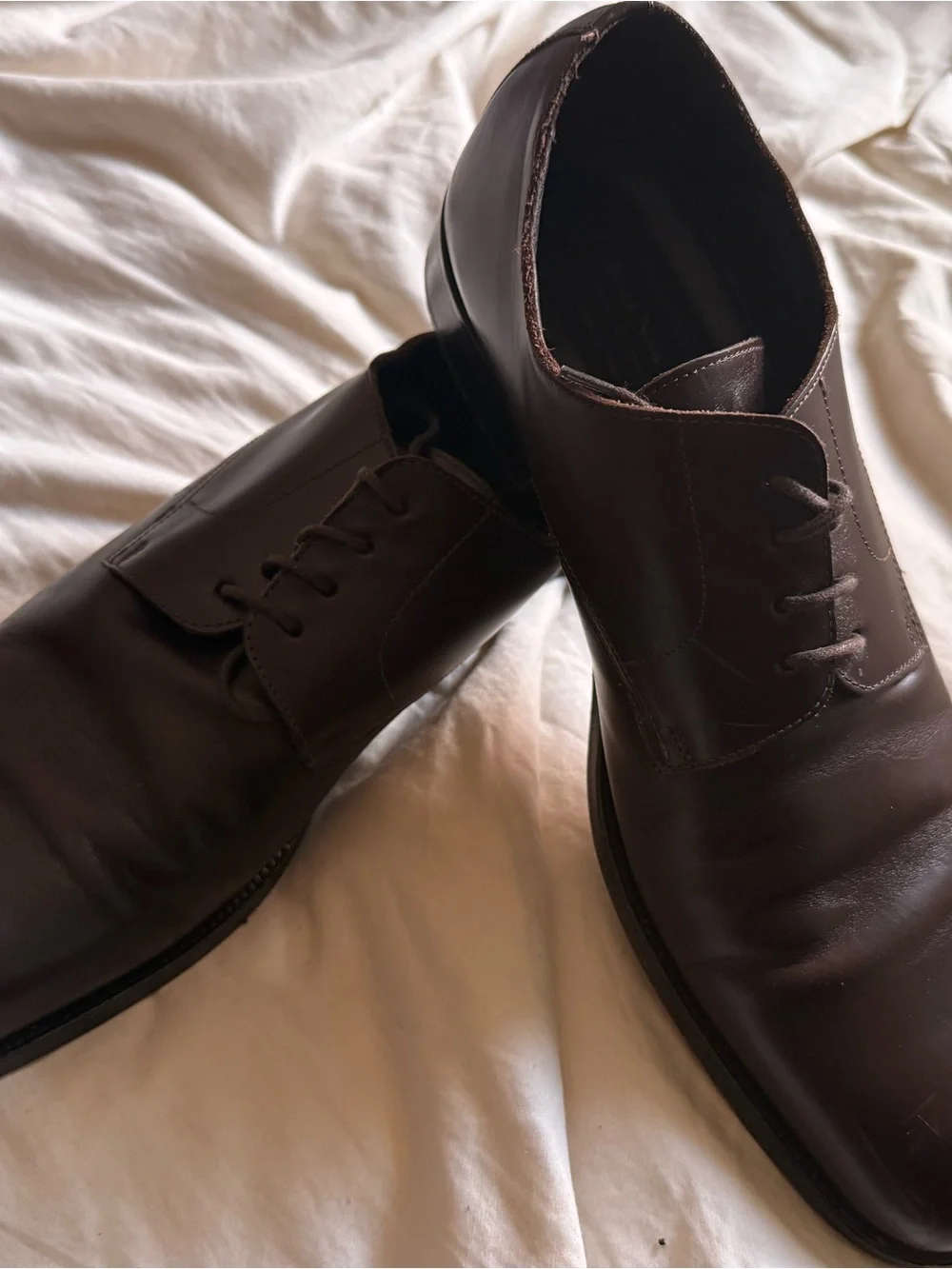 To Boot Dark Brown Leather Derby Shoes